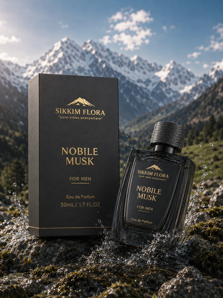 nobile musk final